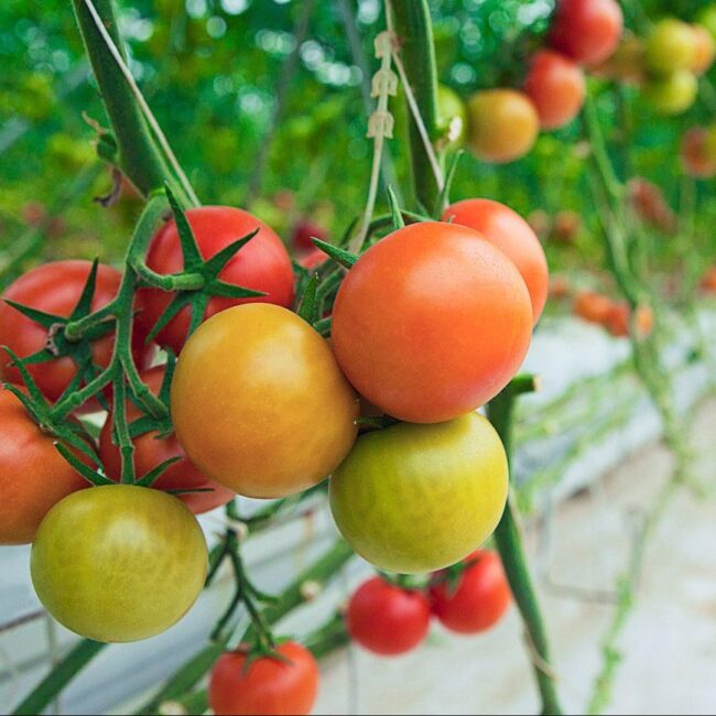 Img_Our-Story_Family-01