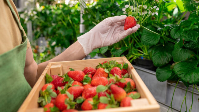 Img_Our-Story_Vision-01