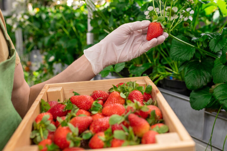 Img_Our-Story_Vision-01