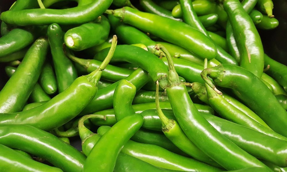 Serrano -Pepper-01