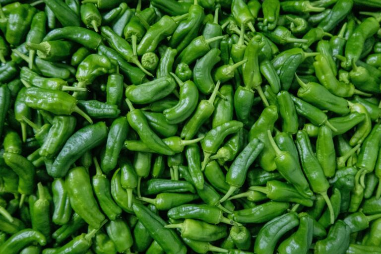 Closeup of shishito peppers.