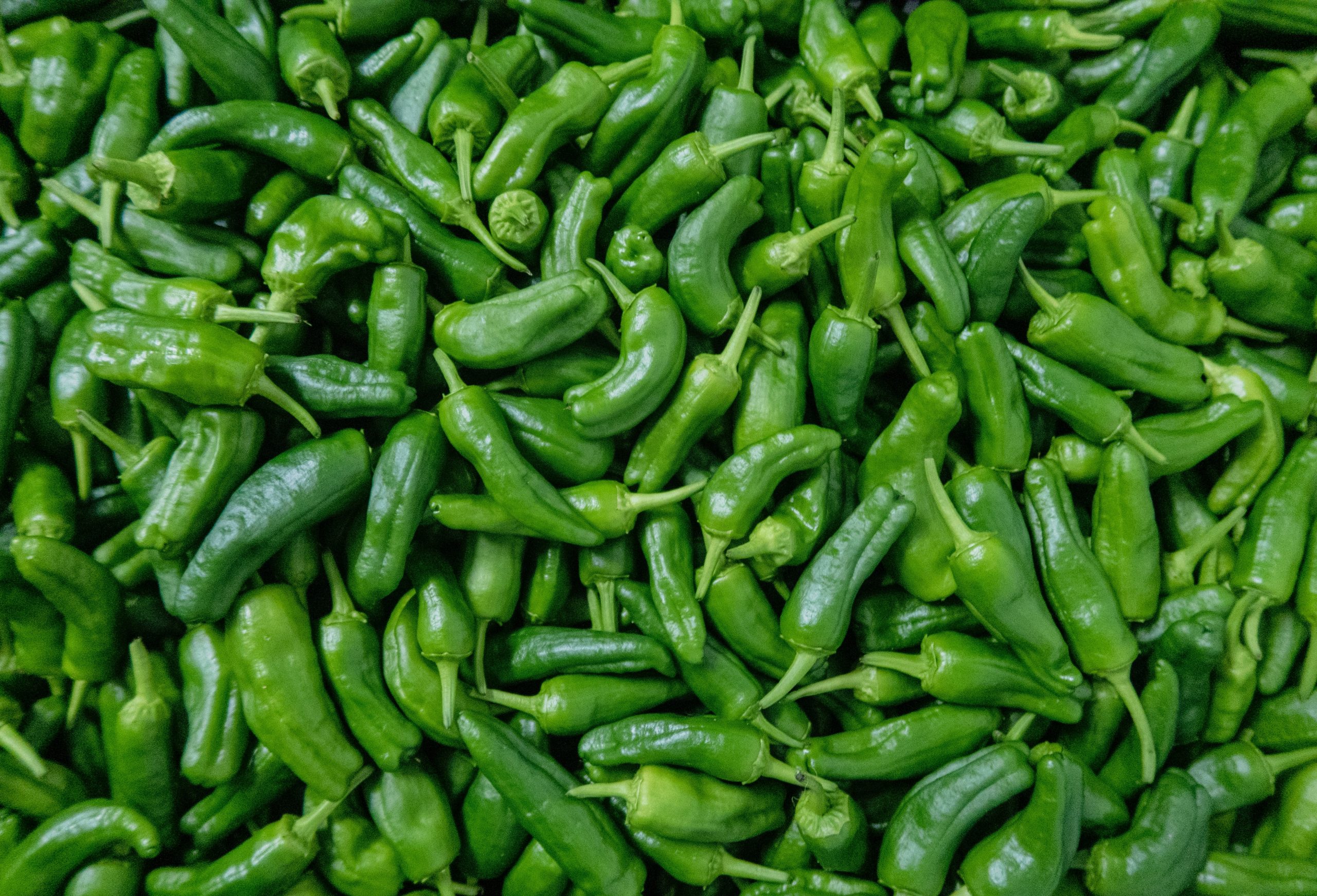 Closeup of shishito peppers.