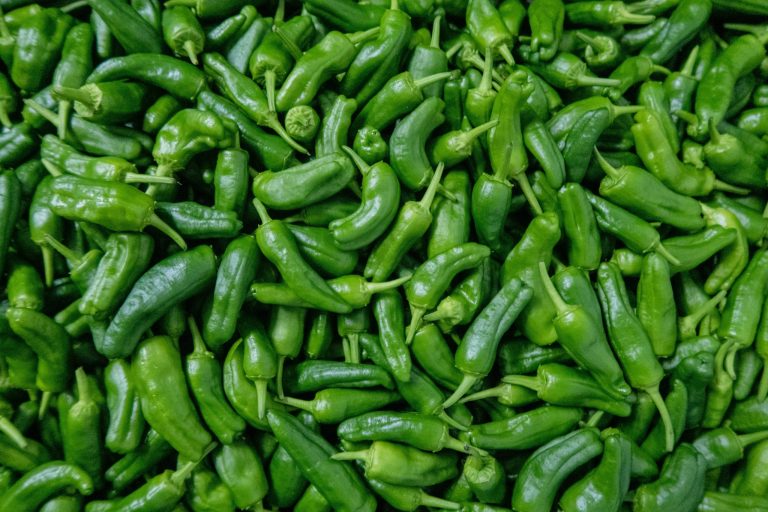 Closeup of shishito peppers.