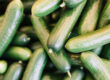 California produce distributor delivering fresh fruits and vegetables
