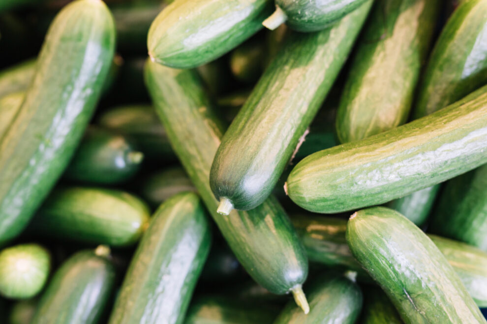 California produce distributor delivering fresh fruits and vegetables