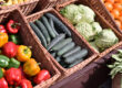 Fresh produce supply for California restaurants by CRJ Produce