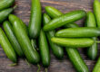High-quality Persian cucumbers for wholesale in California