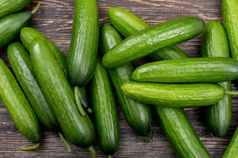 1267 High-quality Persian cucumbers for wholesale in California