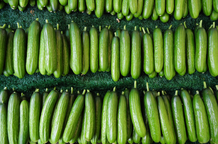 CRJ Produce eco-friendly farming in California