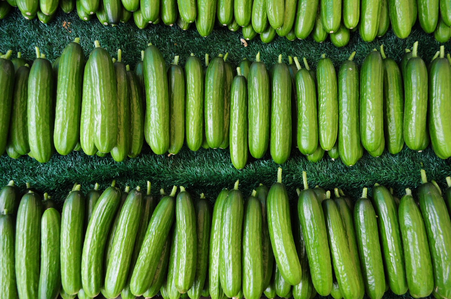 CRJ Produce eco-friendly farming in California