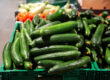 Fresh Persian cucumbers in California market