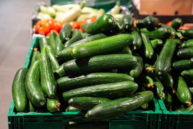 36284 Fresh Persian cucumbers in California market