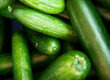 Fresh Persian cucumbers harvested in California by CRJ Produce