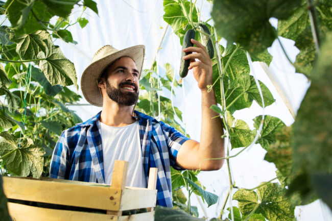 CRJ produce supply chain process from seed to shelf