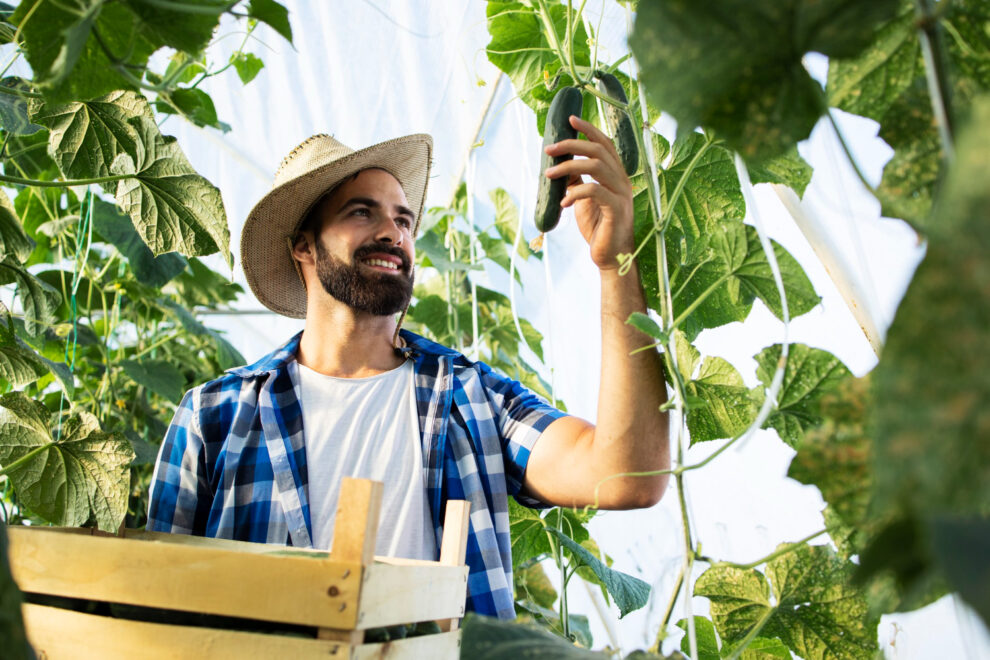 1358 CRJ produce supply chain process from seed to shelf