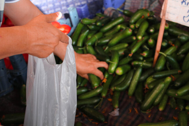 Fresh Persian cucumbers wholesale for California grocery buyers