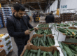 Wholesale buyer inspecting fresh Persian cucumbers at a produce market