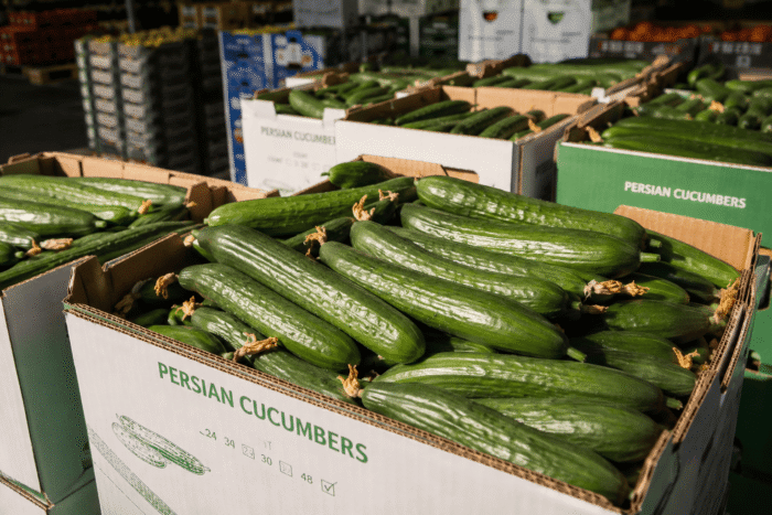 image-persian-cucumbers-consistency Fresh Persian cucumbers displayed in a produce market