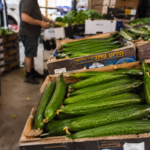 Fresh Persian cucumbers displayed in a produce market
