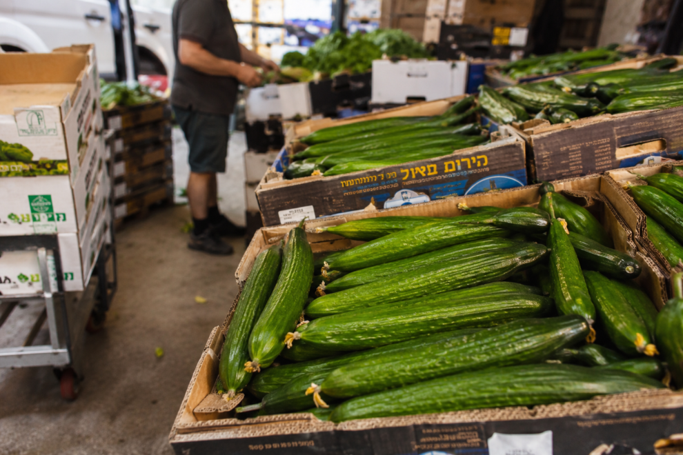 Fresh Persian cucumbers displayed in a produce market