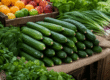 Seasonal Persian cucumber pairings with herbs, fruits, and vegetables