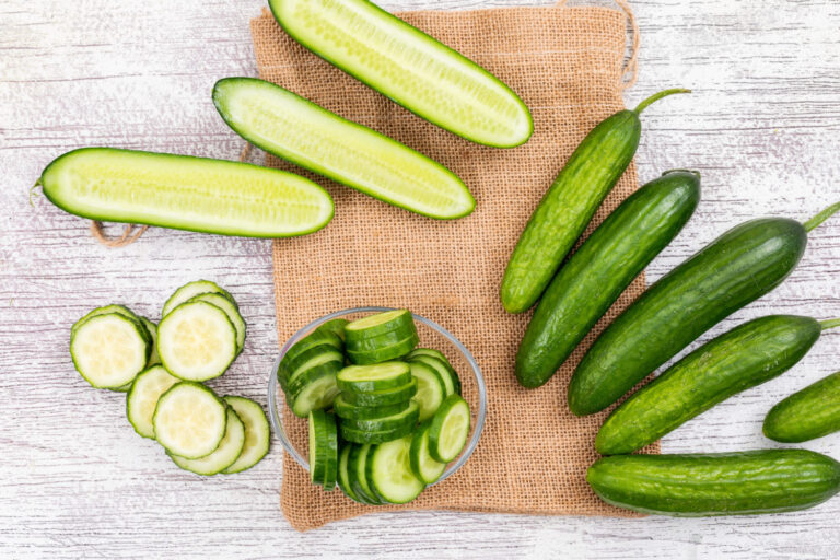 Persian cucumbers compared with traditional cucumbers on display